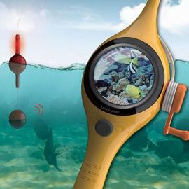 探索海洋生态