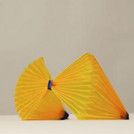 手风琴式太阳眼镜