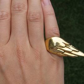 翅膀一样的戒指