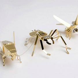 昆虫饰品