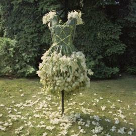 今天，我就要穿白菜上街