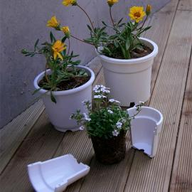 适合植物移植栽种的花盆