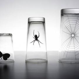 蝴蝶蜘蛛玻璃杯