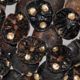 植物做出来的饰品