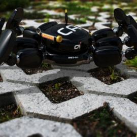 像蜘蛛一样的机器人