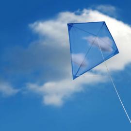 Damian O'sullivan为家庭所做的设计