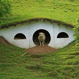 堪比哈比屯的傍山羊圈