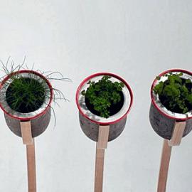 城市雕塑花盆