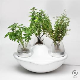 “Pod”绿色设计