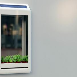 原生态的空气净化器