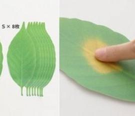 变色叶片温度计