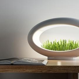 盆栽台灯Grasslamp