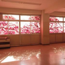 手印樱花