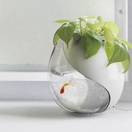 一个壶内两种生活