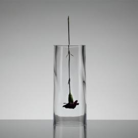 Dan Tomimatsu之Veil花瓶