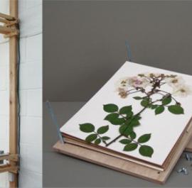 古典秀气的作品