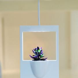 Jung Hwa – Jin花瓶设计