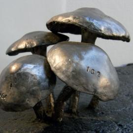 限量版的蘑菇架子