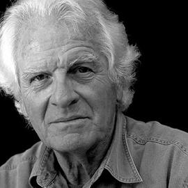 法国设计师Pierre Paulin作品