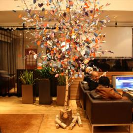 干枯树木的重生