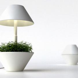 studio shulab的'lightpot'