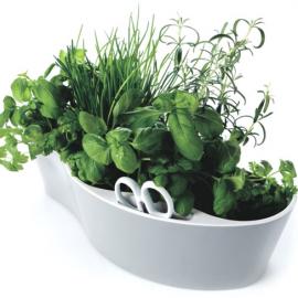 officeoriginair办公花盆设计