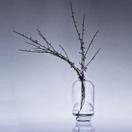 Air Sundae硼硅玻璃花瓶