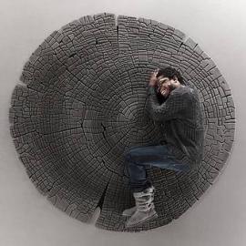 把老橡树搬回家