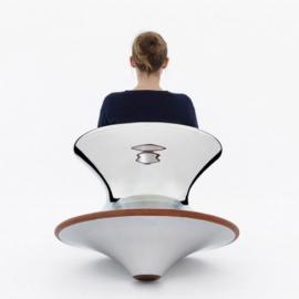 酷酷的刚毅的Spun椅子