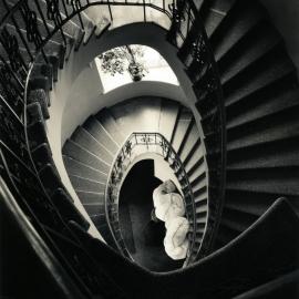 罗曼·罗尼克的梦中之光