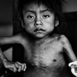 2011 Visa de l’ANI摄影奖