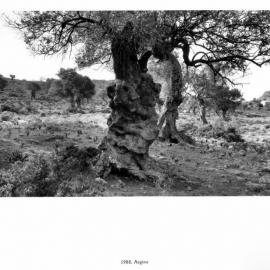 爱马仕总裁的摄影魔力（下）