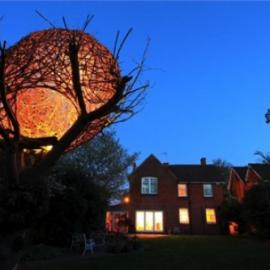 漂亮的人居鸟巢