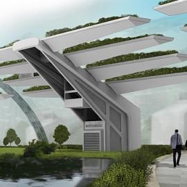 自给自足的城市生态农业