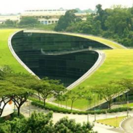 可以用来散步的绿屋顶