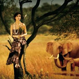 洁净如初 美丽知性张俪