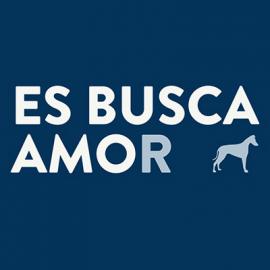 Es busca amor宠物保护组织形象设计