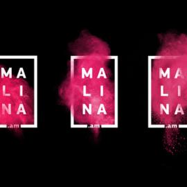 俄罗斯Malina在线视频网站新LOGO