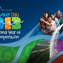 2013国际生物多样性日和国际水合作年主题标志