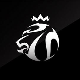 2013欧洲篮球冠军联赛四强赛标志