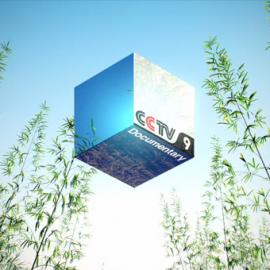 央视纪录频道更新logo设计 探讨“从哪来要去哪”