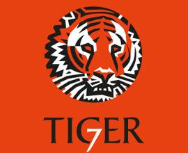 以“老虎”为主题的创意LOGO