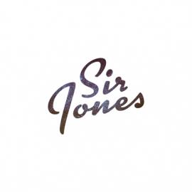 国外优秀Web2.0 标志欣赏24