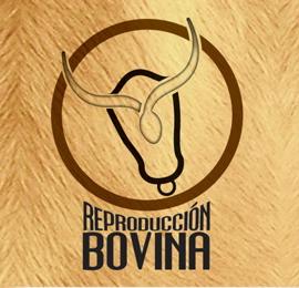 26个以“牛”为元素的LOGO设计