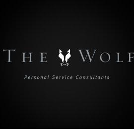 以“狼”为元素的logo作品欣赏