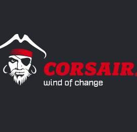 创意人物logo：海盗pk忍者