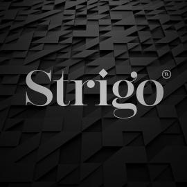 STRIGO服装概念品牌设计-Moisés Guillén