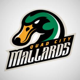 动物标志设计之鸭子