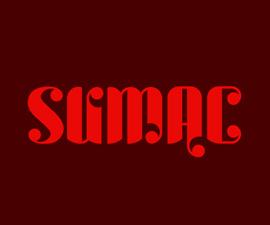 英文字体造型logo设计欣赏