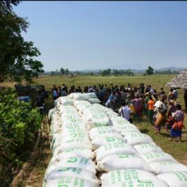 THE NIPPON FOUNDRTION